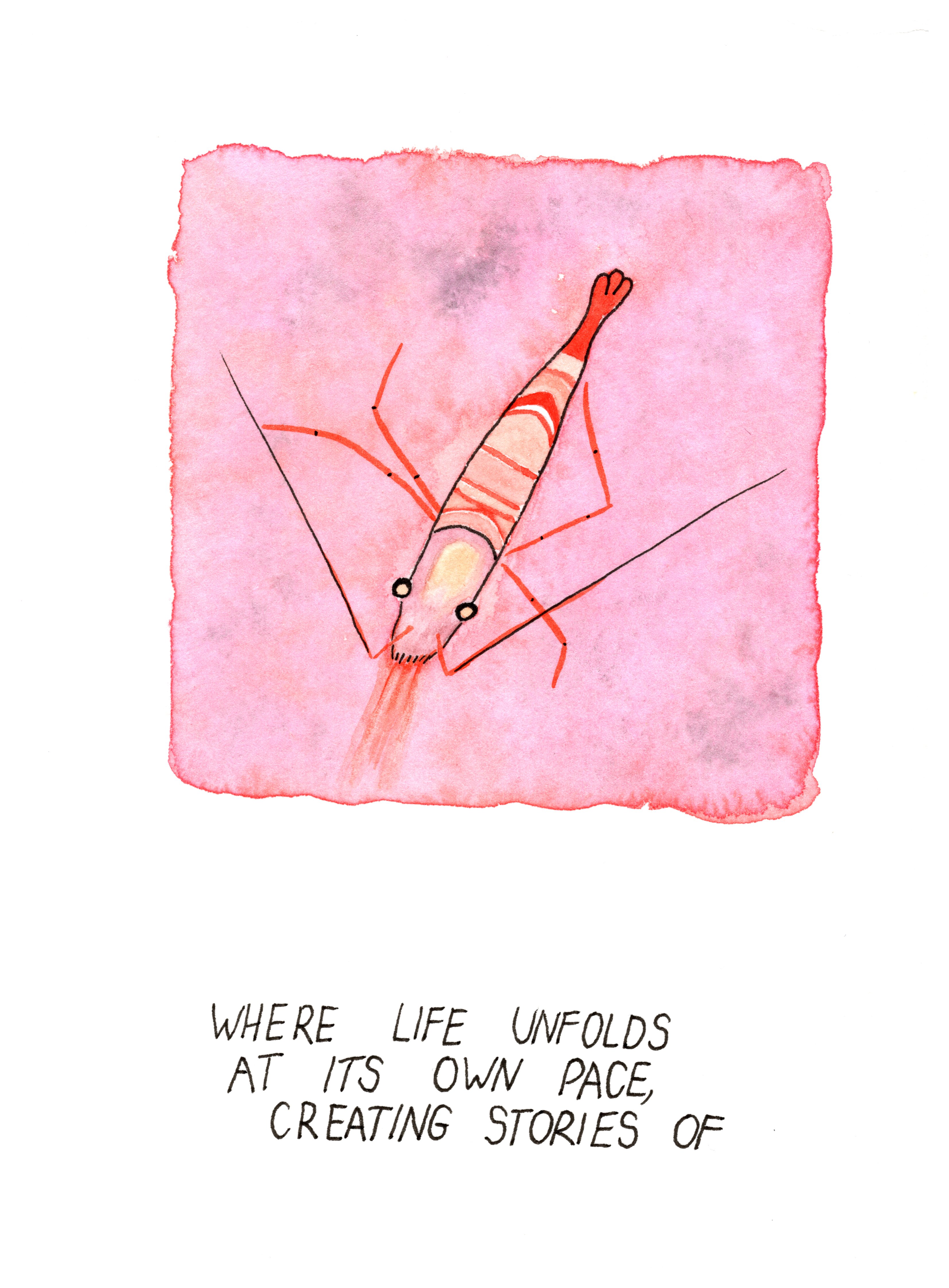 Unfolding Stories