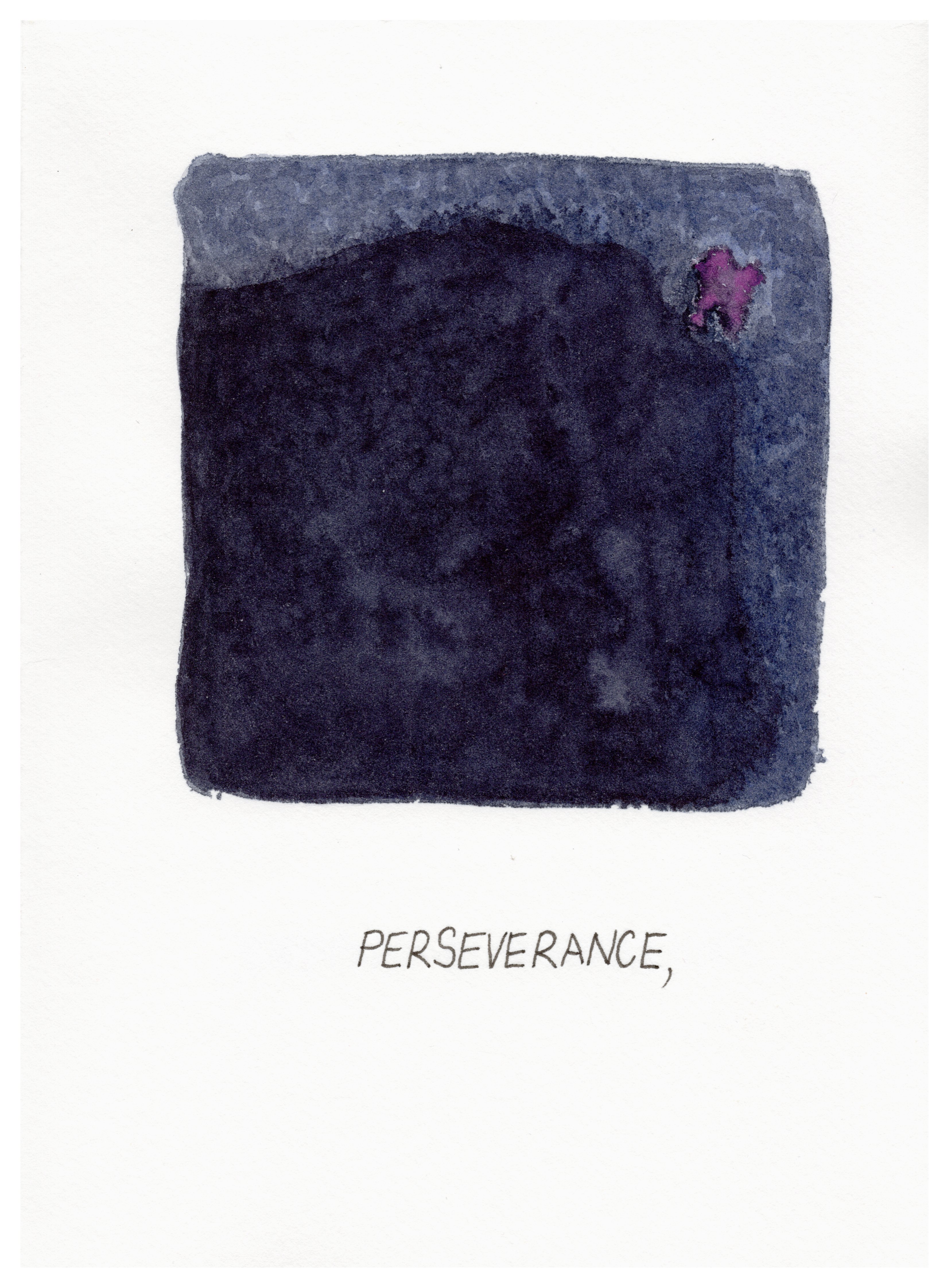 Perseverance