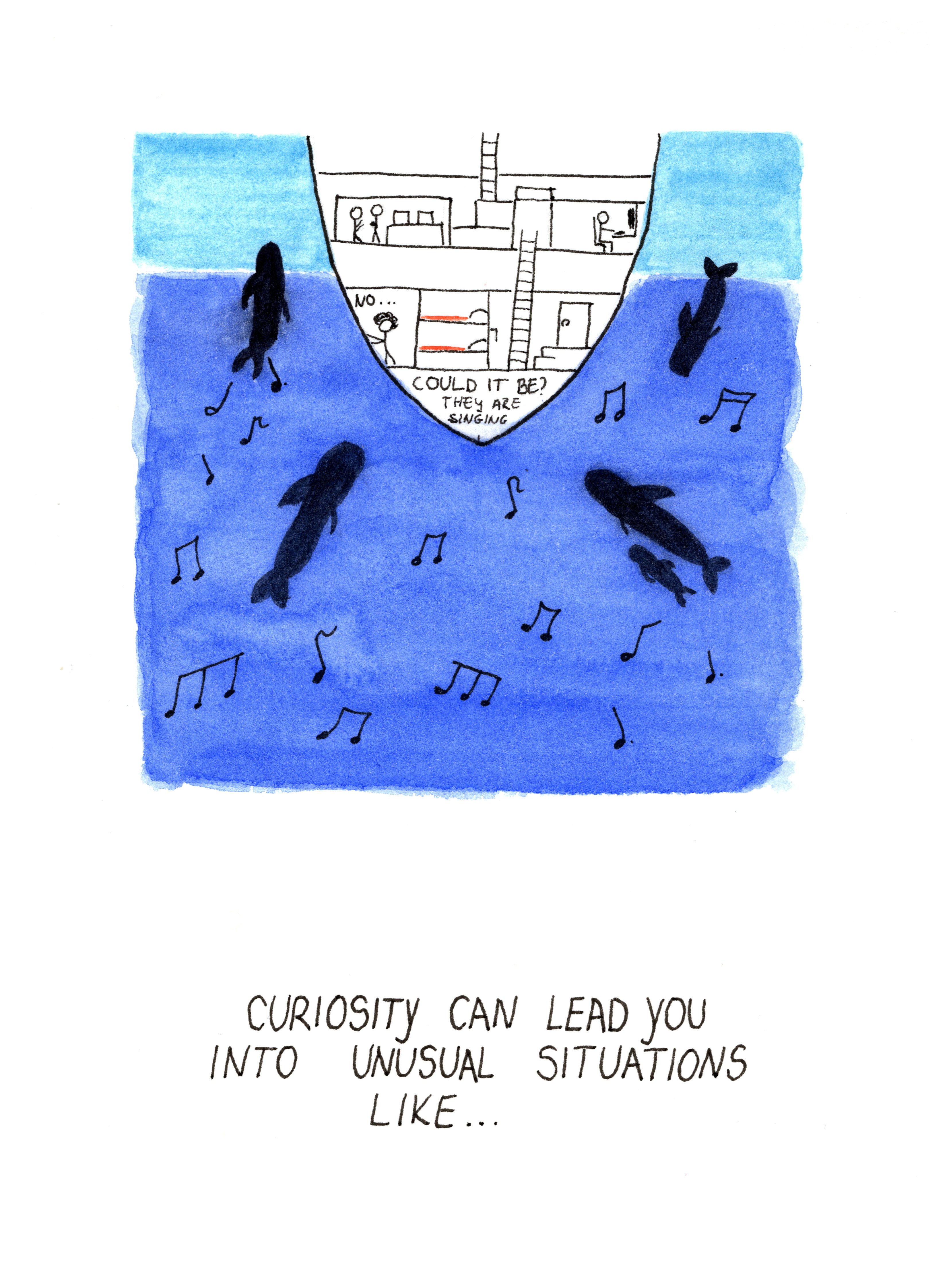 Curiosity